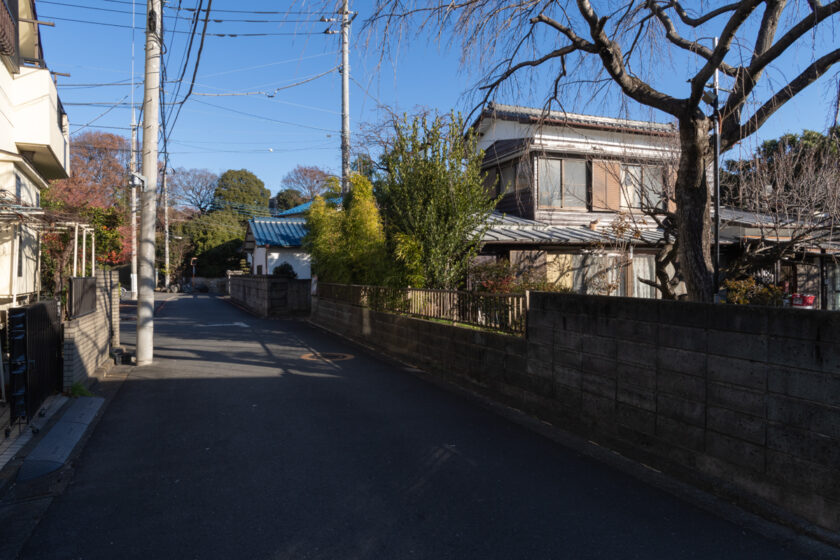 立川市の猫