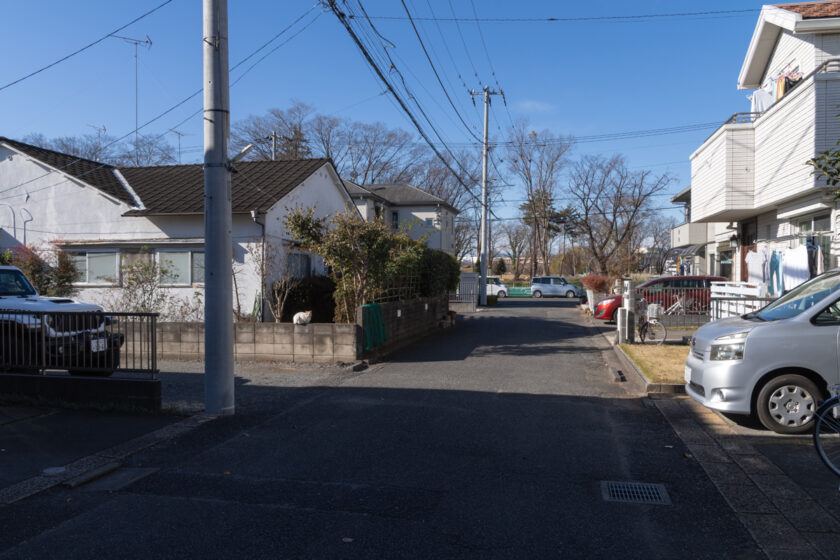 立川市の猫