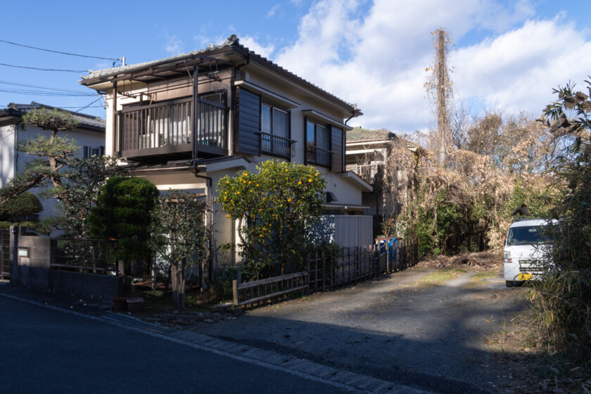 日野市の猫