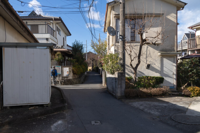 日野市の猫