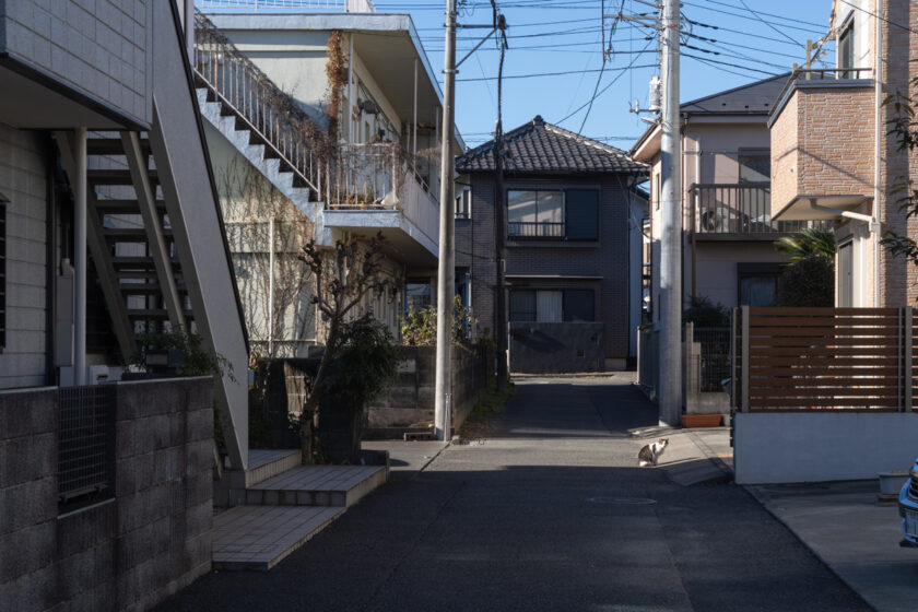 昭島市の猫