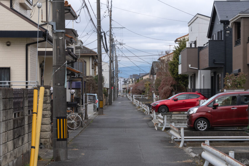 日野市の猫