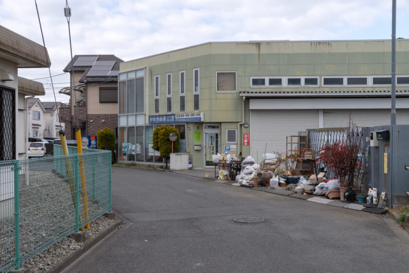 日野市の猫