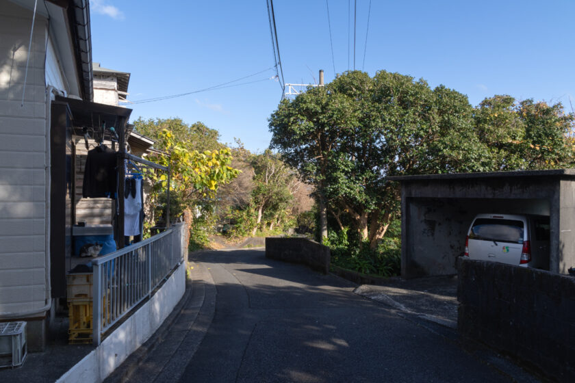 三宅村の猫