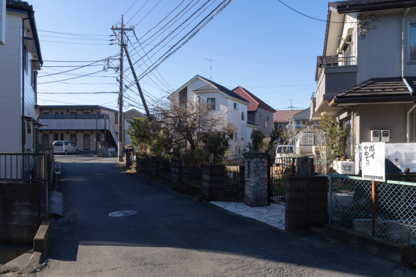 日野市の猫