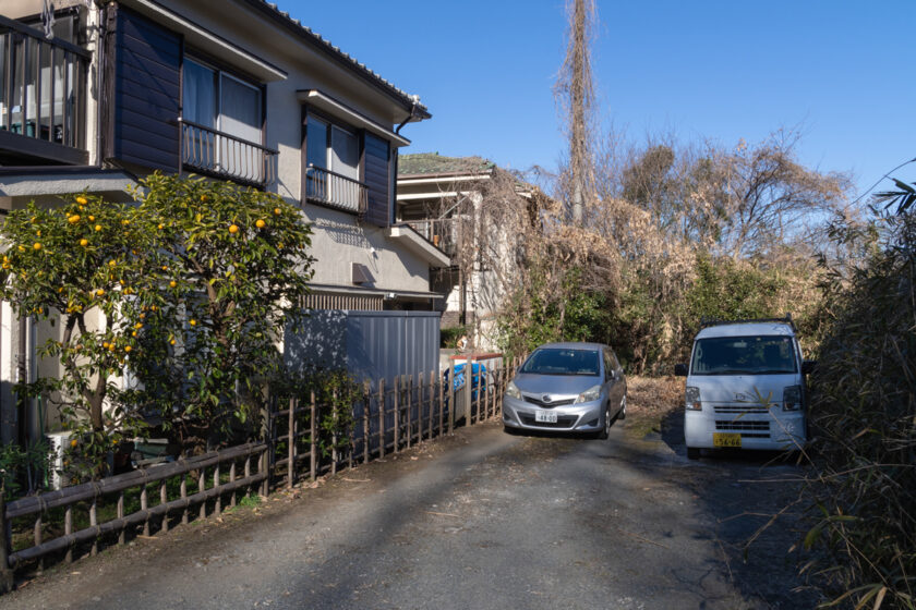 日野市の猫