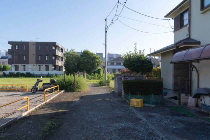 立川市の猫