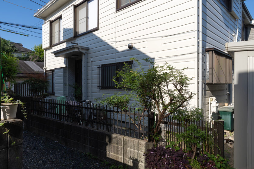 立川市の猫