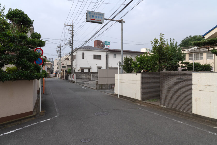 八王子市の猫