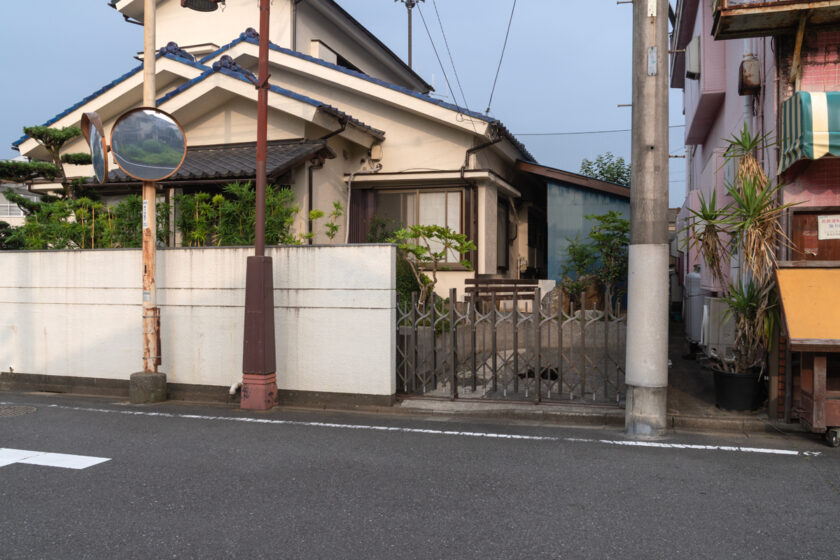 八王子市の猫