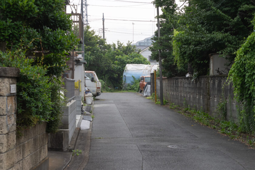日野市の猫