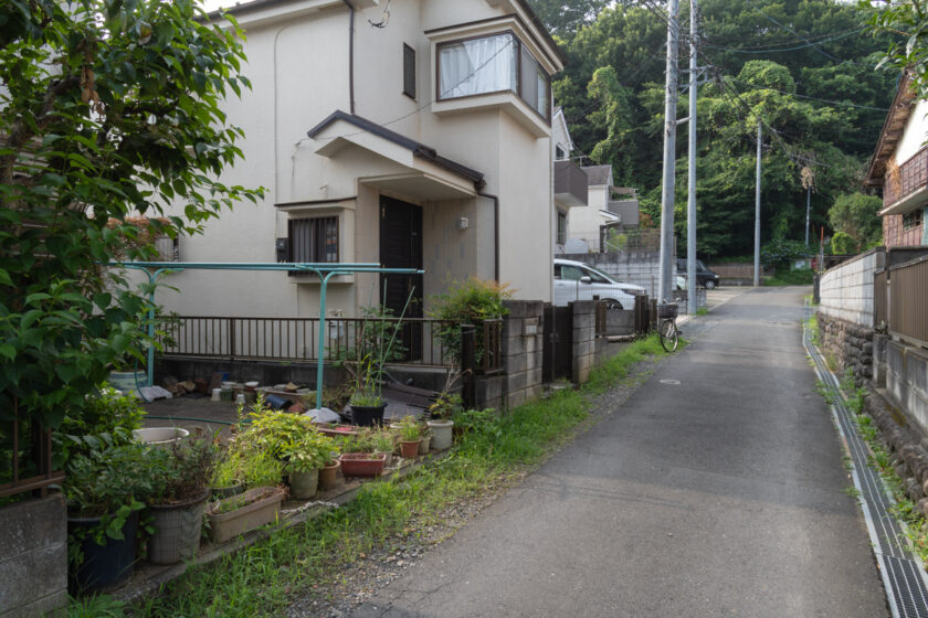 日野市の猫