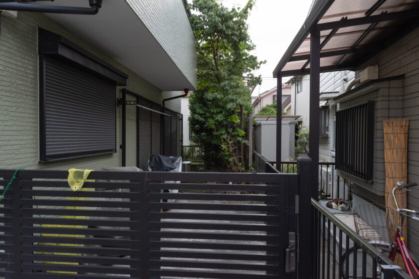 立川市の猫