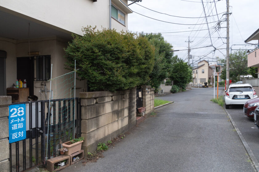 立川市の猫