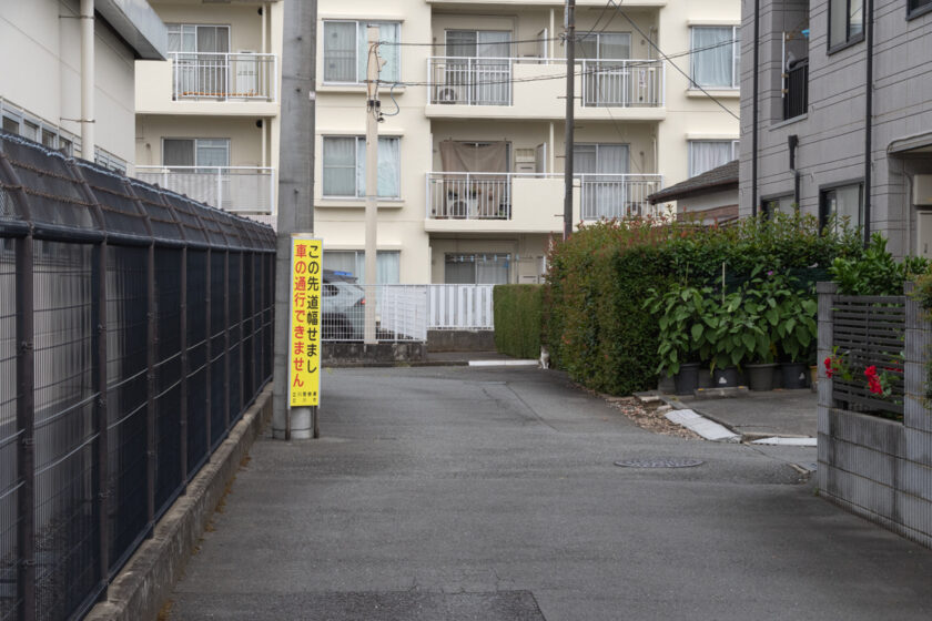 立川市の猫