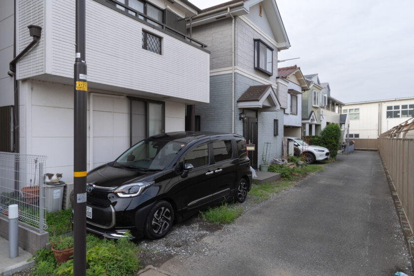 立川市の猫