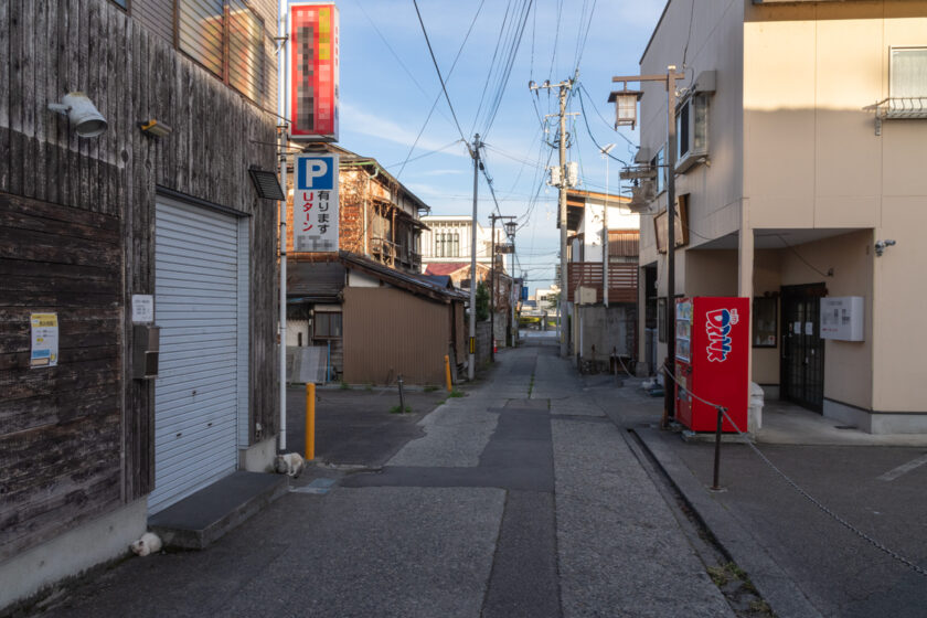 会津若松市の猫