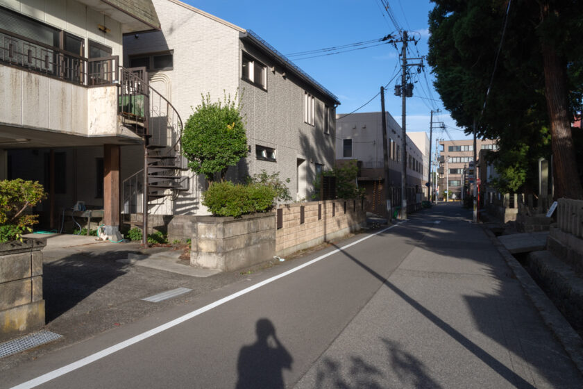 会津若松市の猫