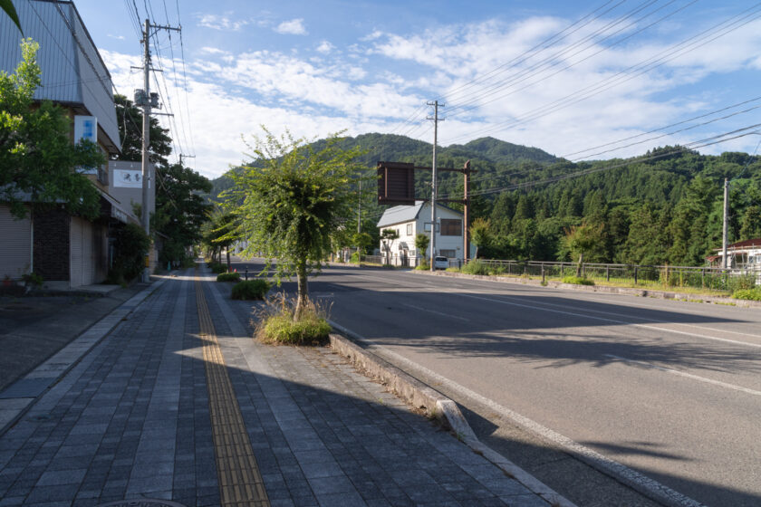 会津若松市の猫