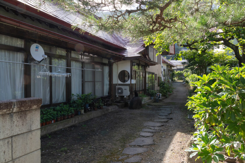 会津若松市の猫