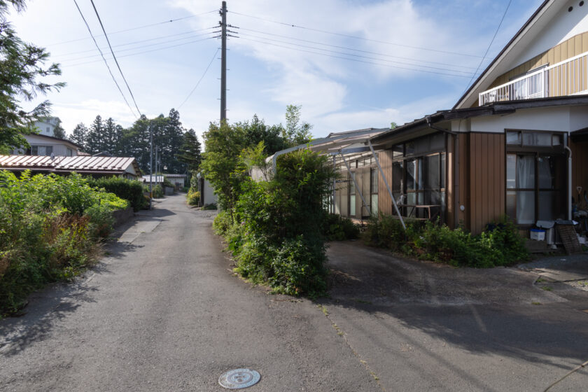 蔵王町の猫
