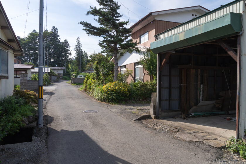 蔵王町の猫