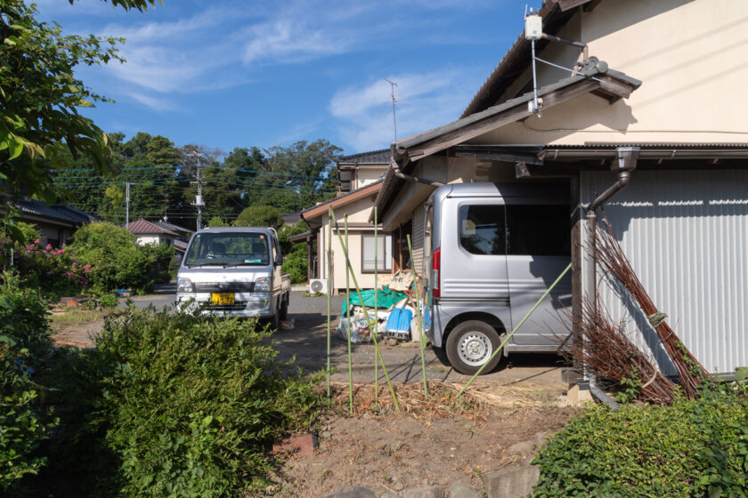 八王子市の猫