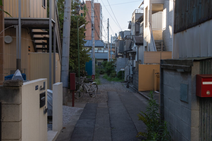 和光市の猫
