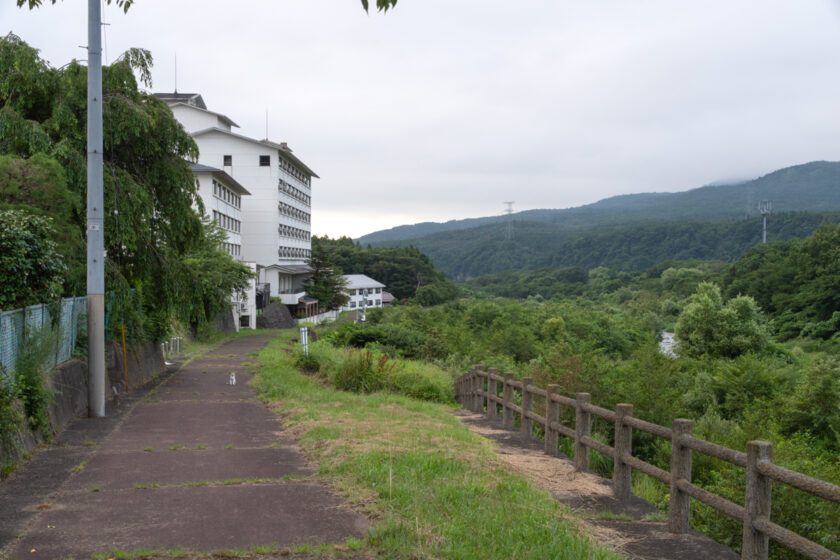 蔵王町の猫