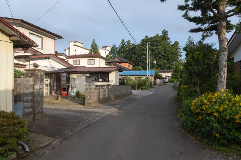 蔵王町の猫