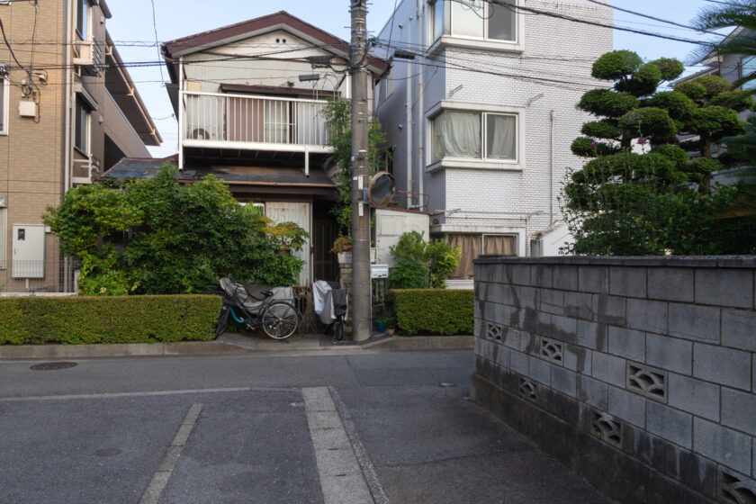 川崎市の猫