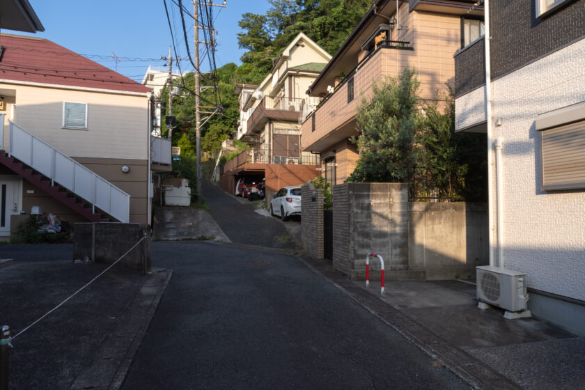 川崎市の猫