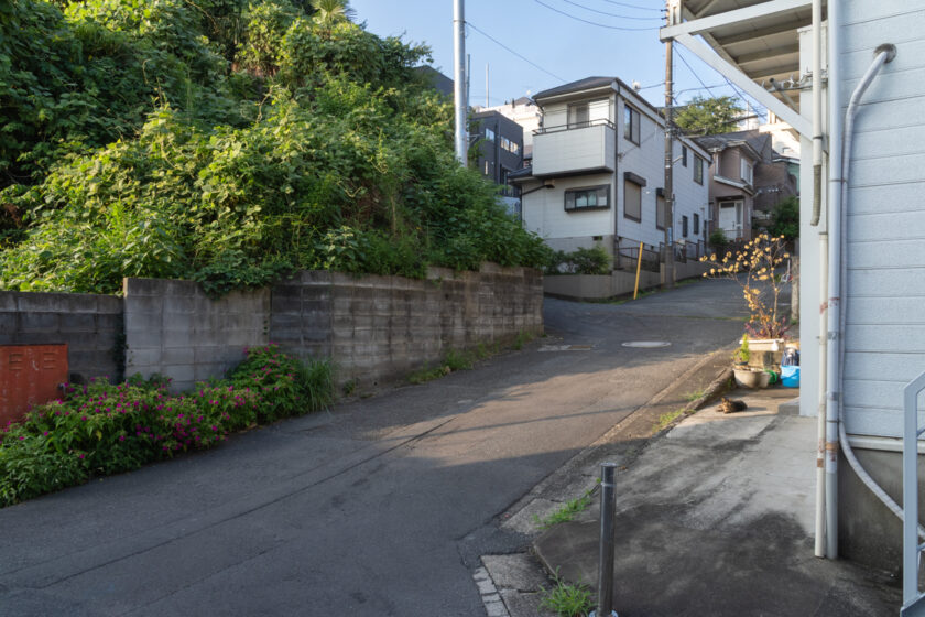 川崎市の猫