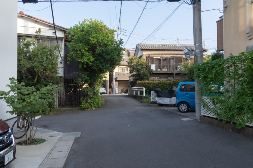川崎市の猫