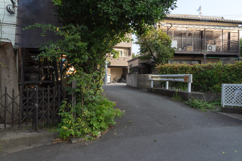 川崎市の猫
