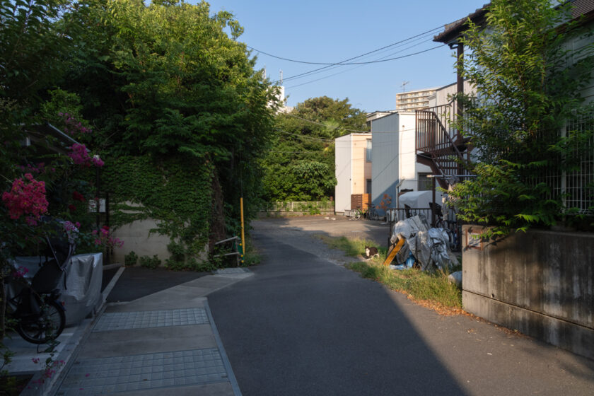 川崎市の猫