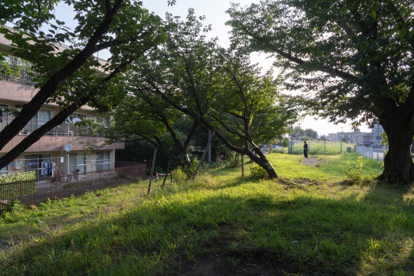 川崎市の猫