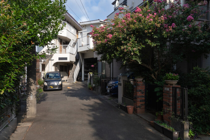 川崎市の猫