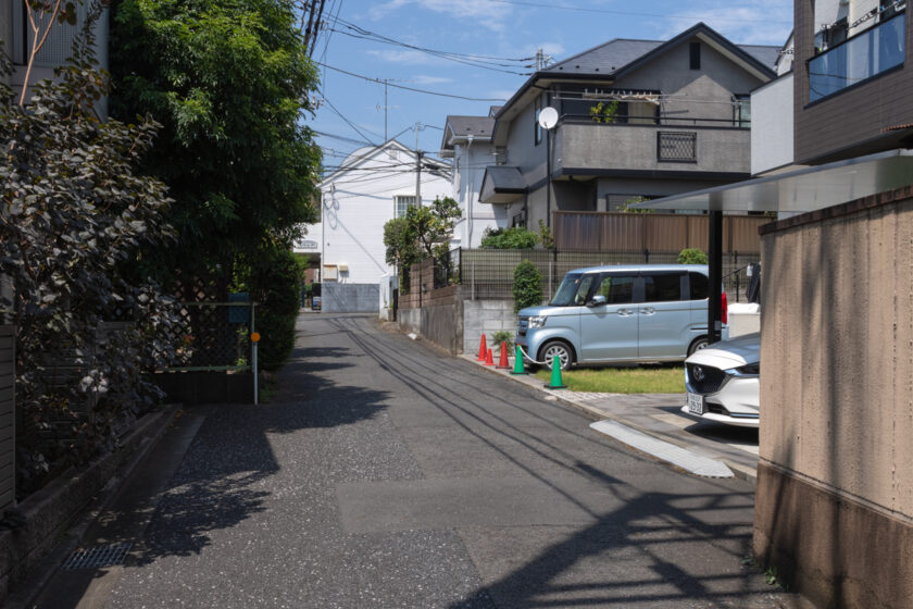 府中市の猫