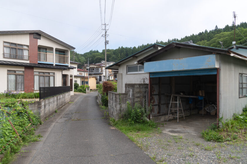 蔵王町の猫