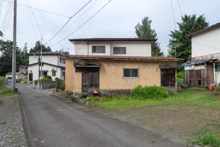蔵王町の猫