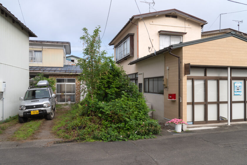 蔵王町の猫