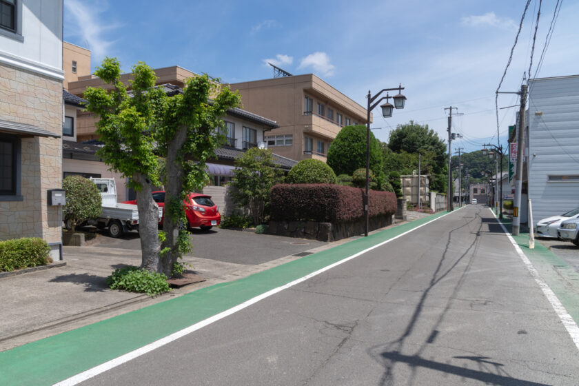 村田町の猫