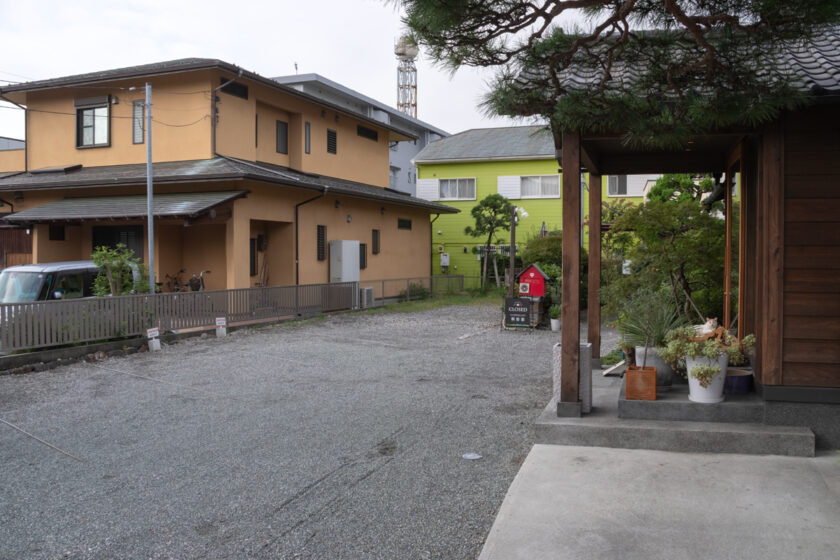 小田原市の猫
