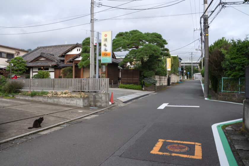 小田原市の猫