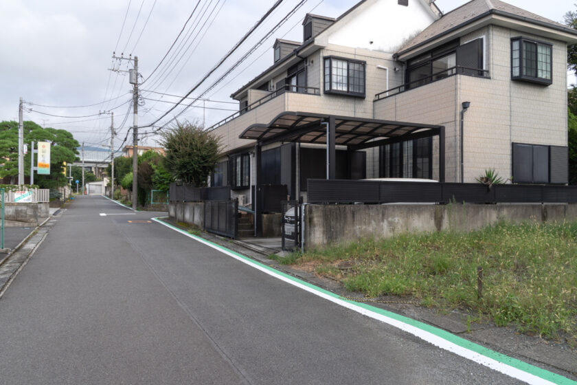 小田原市の猫