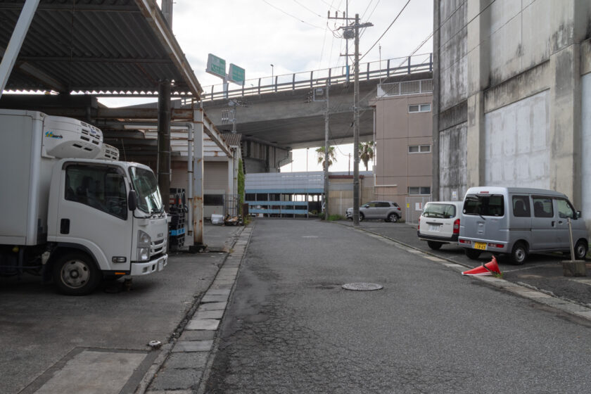 小田原市の猫