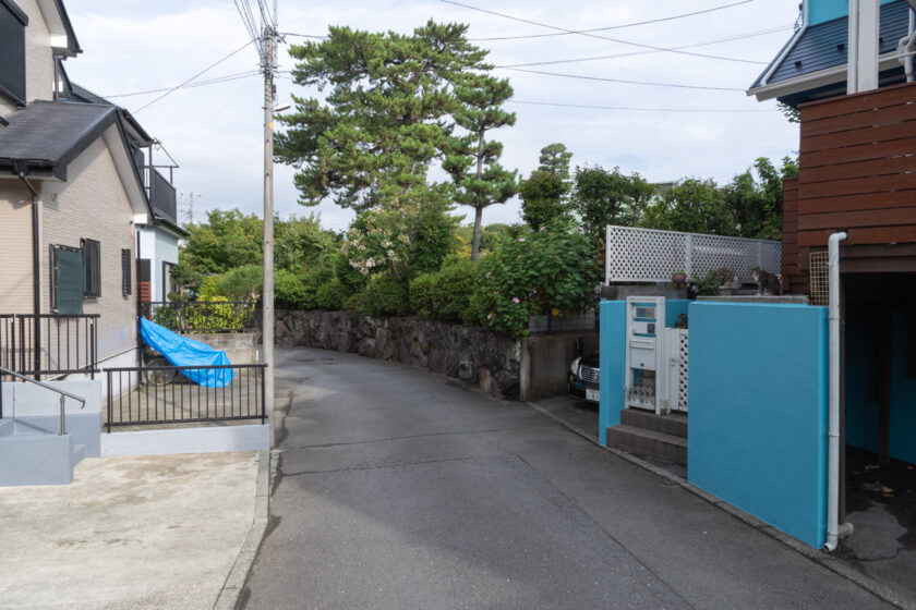 小田原市の猫