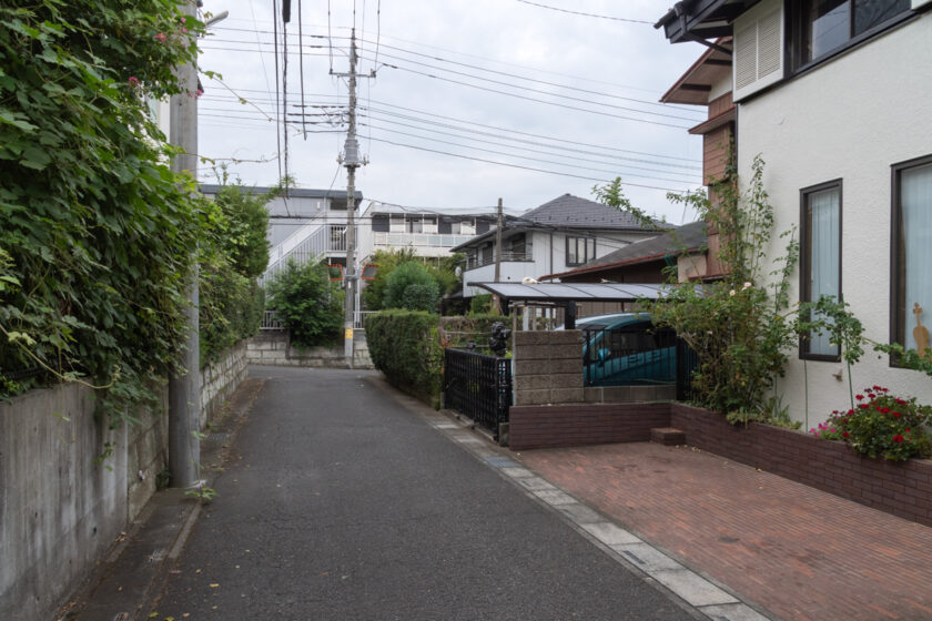 所沢市の猫