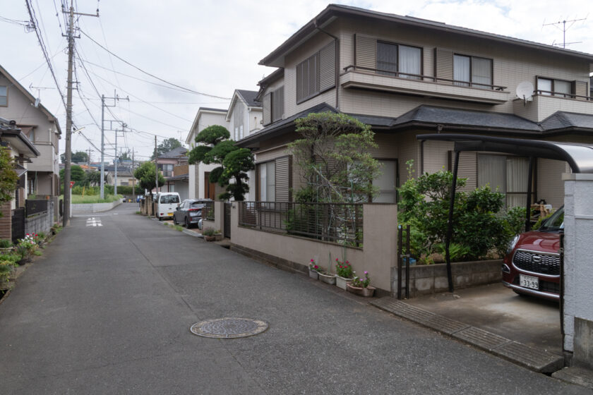 所沢市の猫